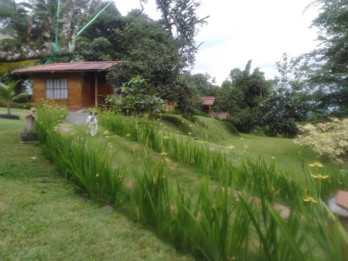 Estancia La Colina ซานโต โดมิงโก เด ลอส โคโลราโดส ภายนอก รูปภาพ