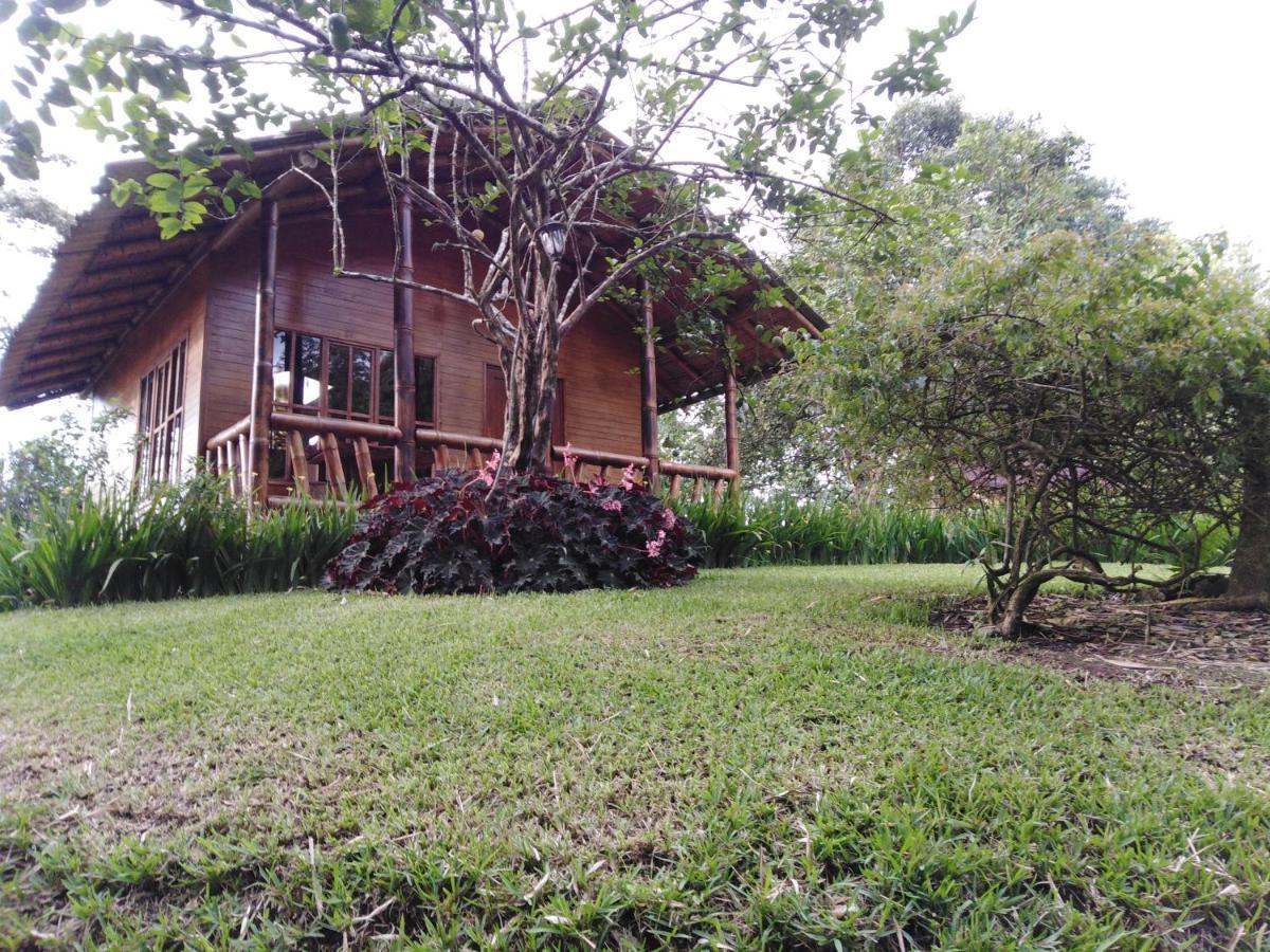 Estancia La Colina ซานโต โดมิงโก เด ลอส โคโลราโดส ภายนอก รูปภาพ