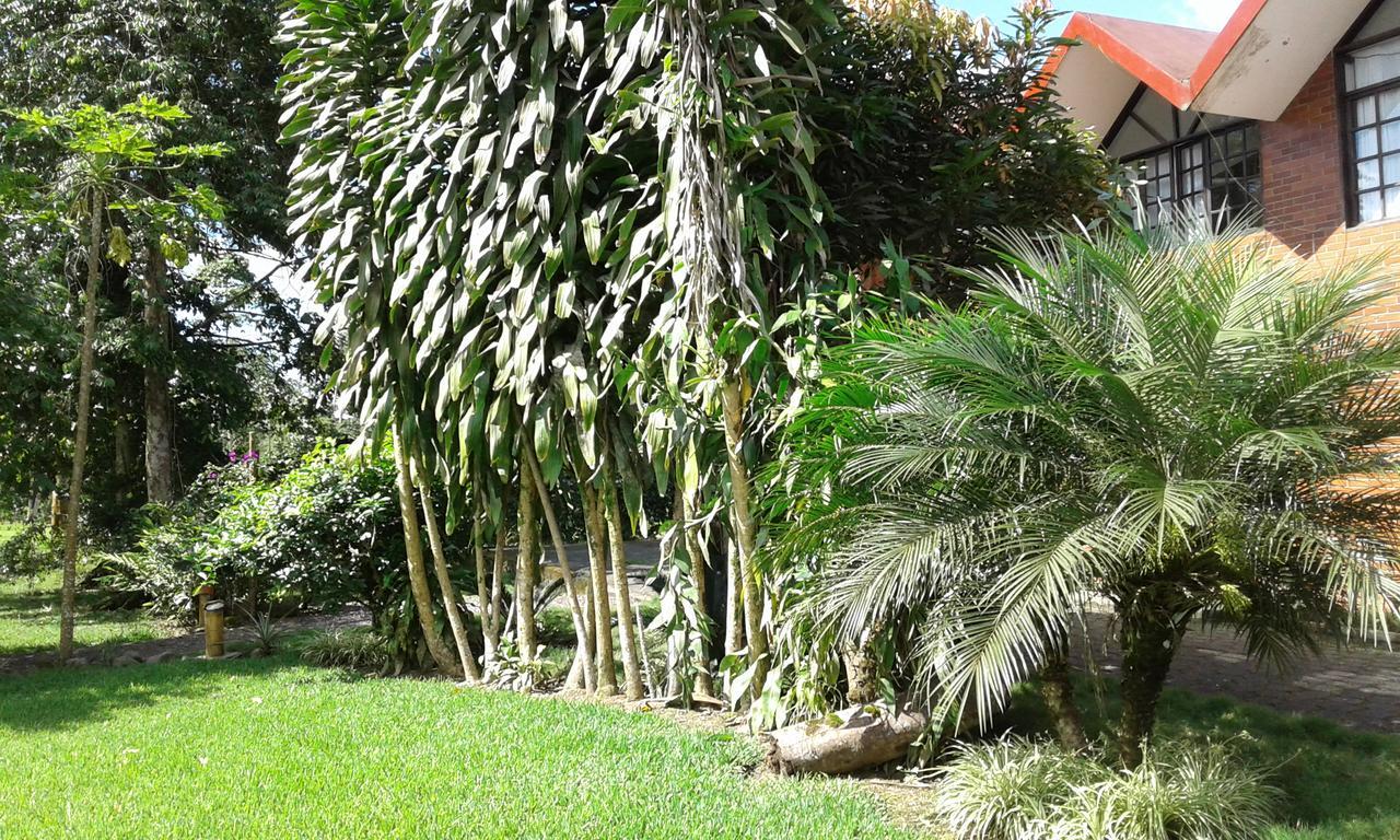 Estancia La Colina ซานโต โดมิงโก เด ลอส โคโลราโดส ภายนอก รูปภาพ