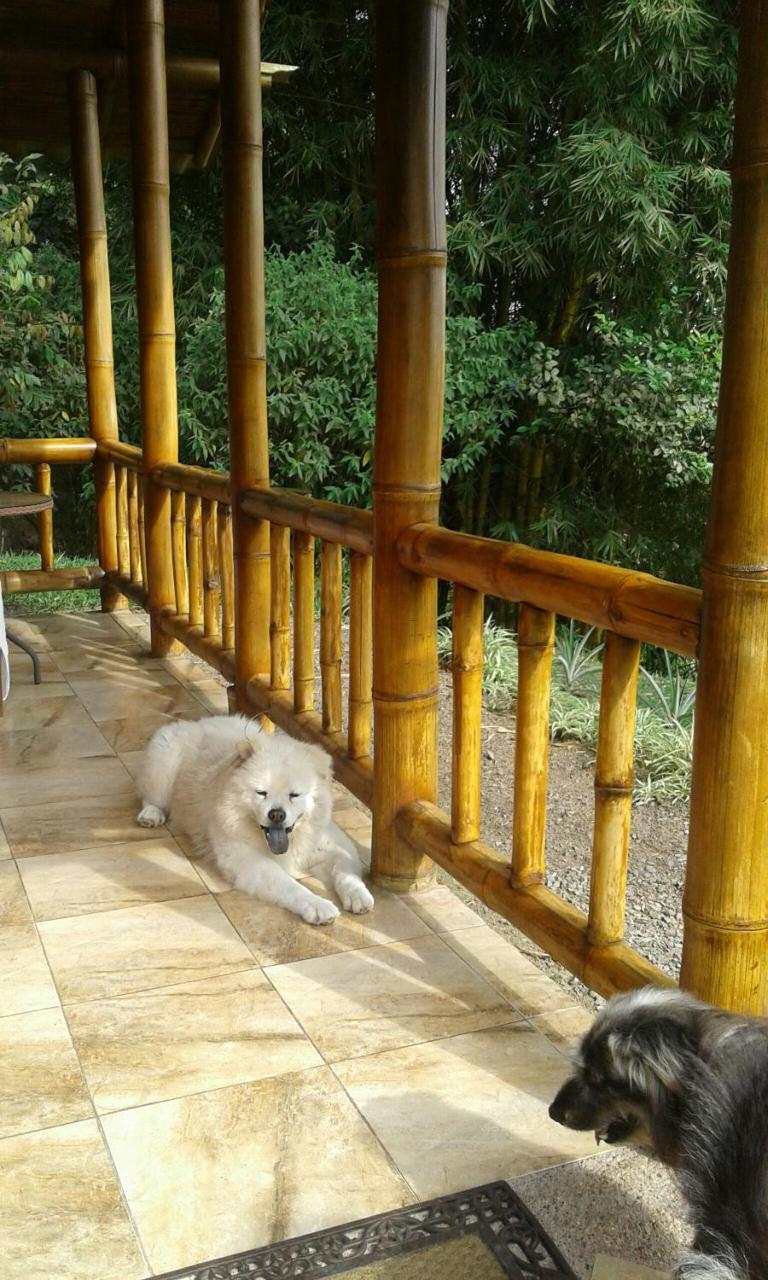 Estancia La Colina ซานโต โดมิงโก เด ลอส โคโลราโดส ภายนอก รูปภาพ